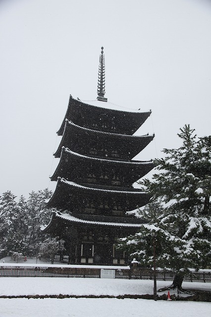 2014年２月の奈良　Ⅱ_f0014971_1524112.jpg