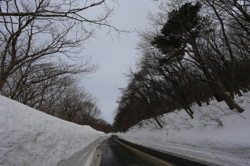 大山雪の壁_a0170378_2340532.jpg