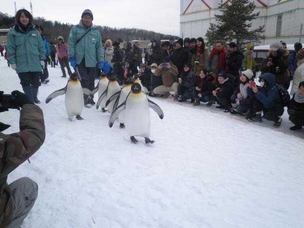 読売バスツアー　オホーツク流氷船と旭山動物園3日間　最終日_c0118393_1614372.jpg