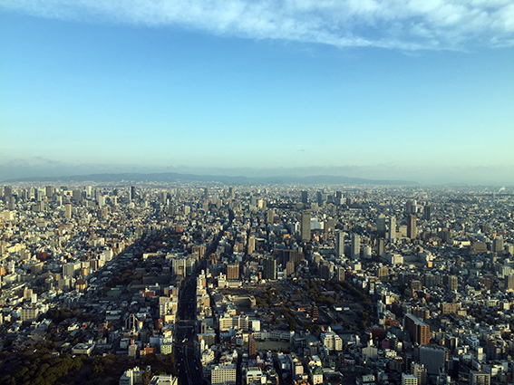 e0000295_14273667.jpg