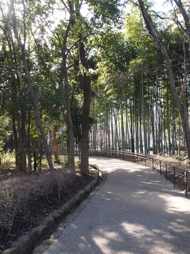 f0256400_8414459.jpg
