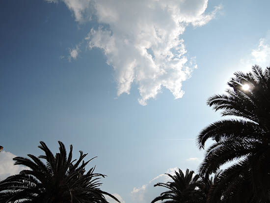 d0168406_90611.jpg