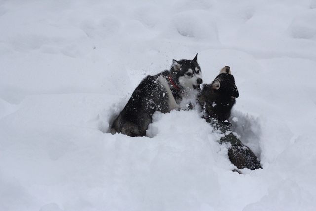 雪合宿2015　-雪のランランラン_b0207615_23041994.jpg