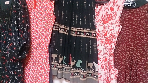 f0220919_820494.jpg