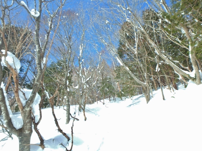 安達太良山　　【2015.2.21-22】_b0291820_08043081.jpg