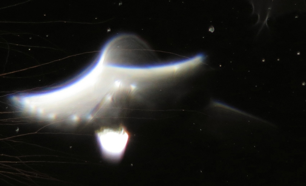 c0331825_13534443.jpg