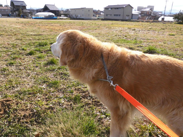 ２月２２日(石川県板金工業組合総会)_f0114128_15361894.jpg