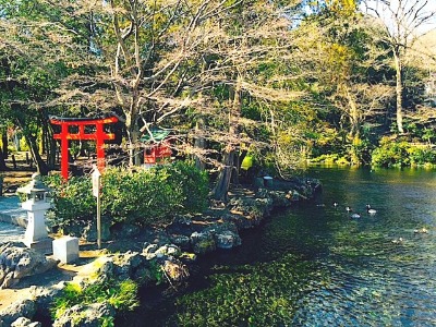富士山本宮浅間大社 3⃣ 大山祇神_a0300530_1502092.jpg