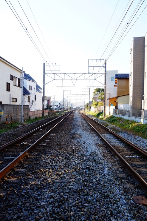 鎌倉2015 その2～北鎌倉駅方面へ_a0287336_233332100.jpg