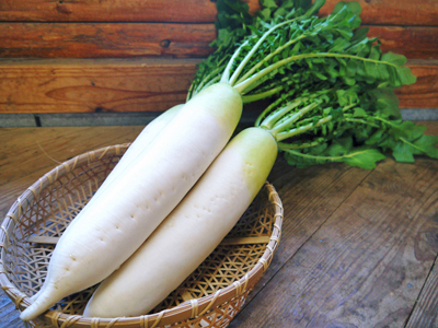 長尾ブランドの新鮮野菜!朝採りダイコン販売再スタート!!_a0254656_17355221.jpg