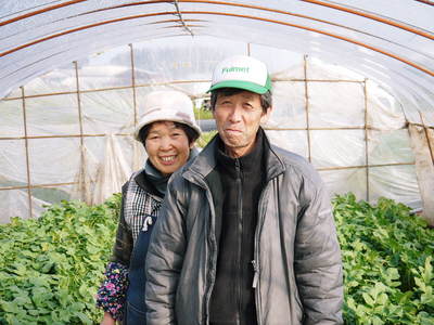 長尾ブランドの新鮮野菜!朝採りダイコン販売再スタート!!_a0254656_18332692.jpg