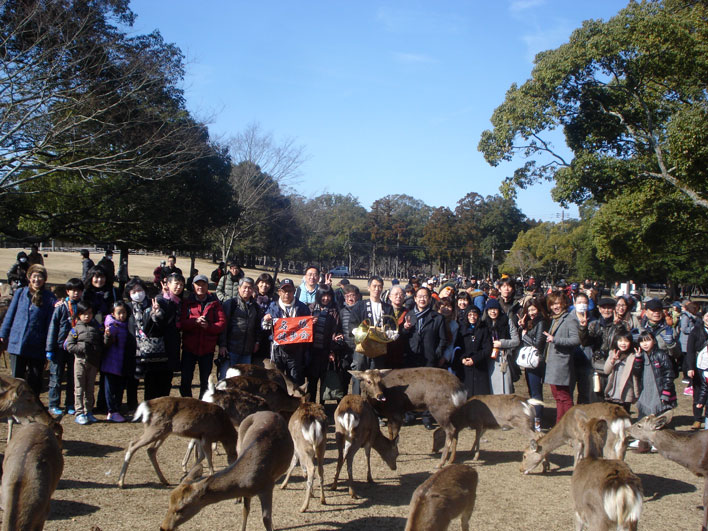 奈良公園の鹿寄せ_b0063958_2047492.jpg