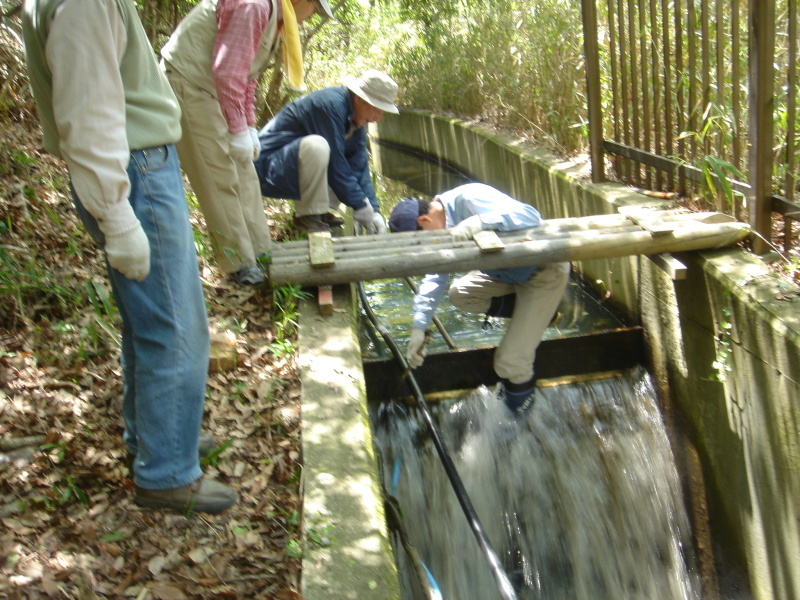 c0108460_22283857.jpg
