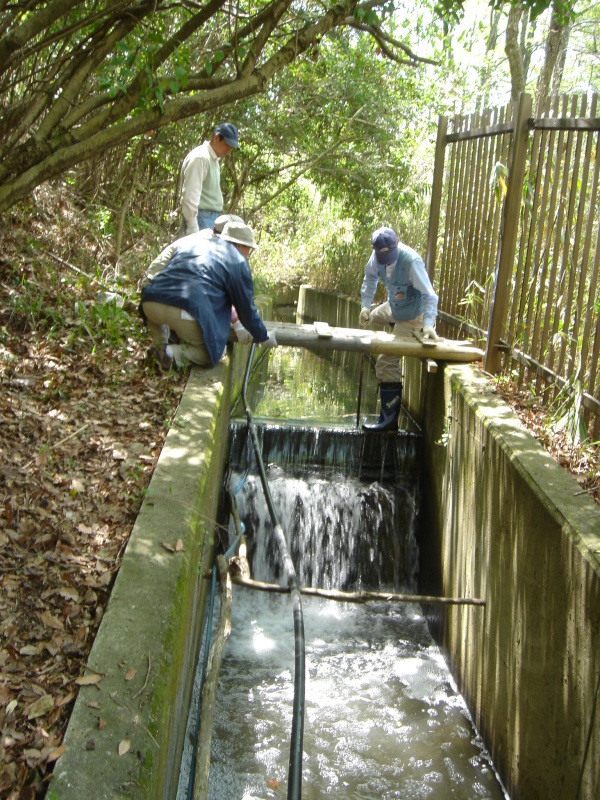 c0108460_22284228.jpg