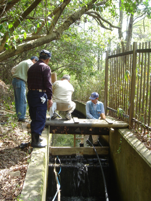 c0108460_22361816.jpg