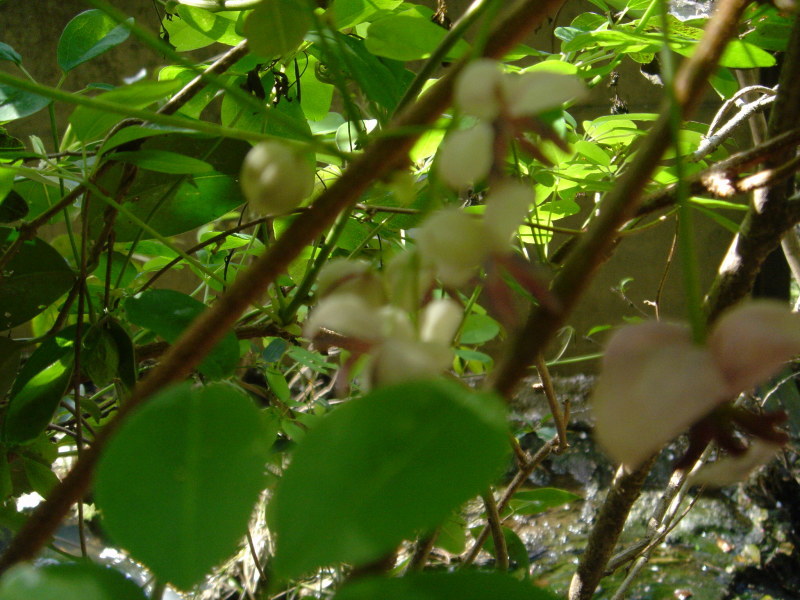 c0108460_22361869.jpg