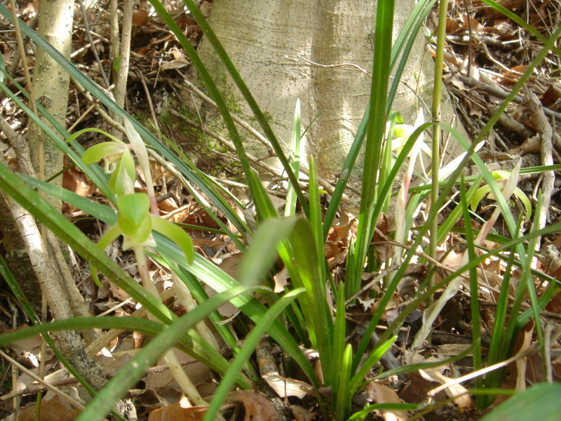 c0108460_22362035.jpg