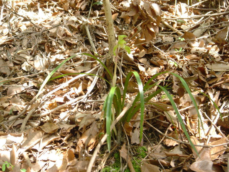 c0108460_22362102.jpg