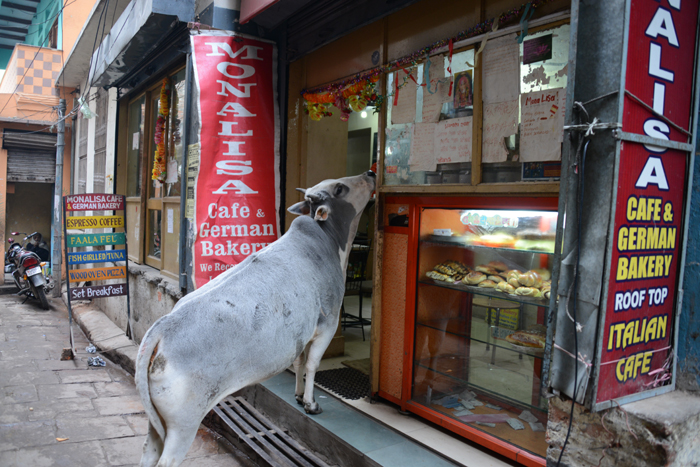 インド・バラナシの町並み写真_e0171573_2355597.jpg