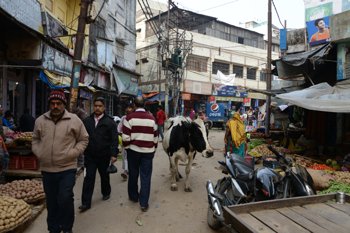 インド・バラナシの町並み写真_e0171573_2363282.jpg