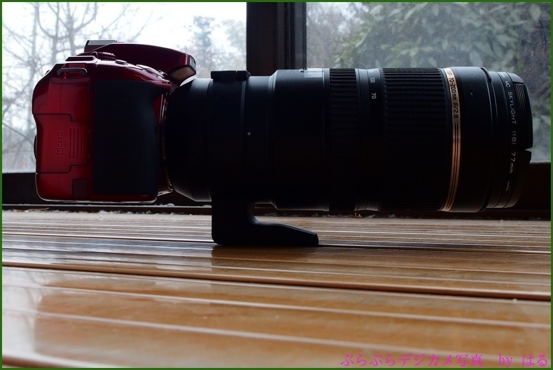 TAMRON SP 70-200mm F2.8 Di VC USD(A009)& 若干の試写 TAMRON SP 70-200mm F2.8 Di VC USD(A009)& 若干の試写