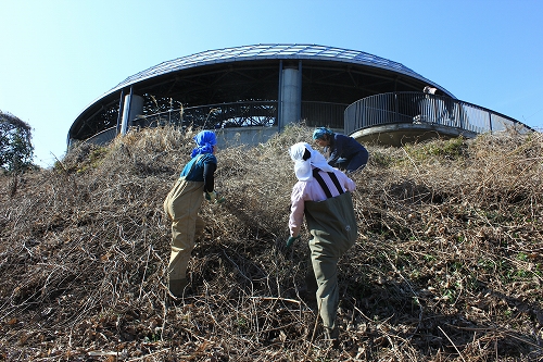 ★ひがた・たんぼ倶楽部のご報告(2015.2.21)_e0046474_15594317.jpg