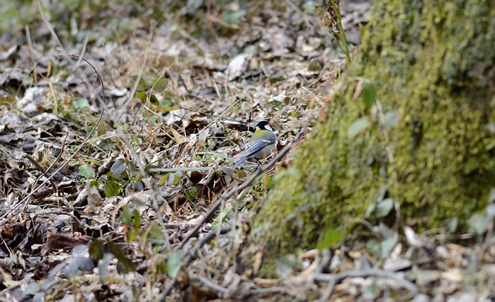 f0108478_210511.jpg