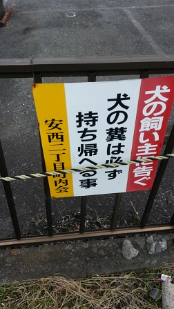 f0228680_934811.jpg