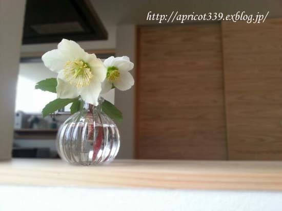 心とからだのメンテナンス_c0293787_18101405.jpg