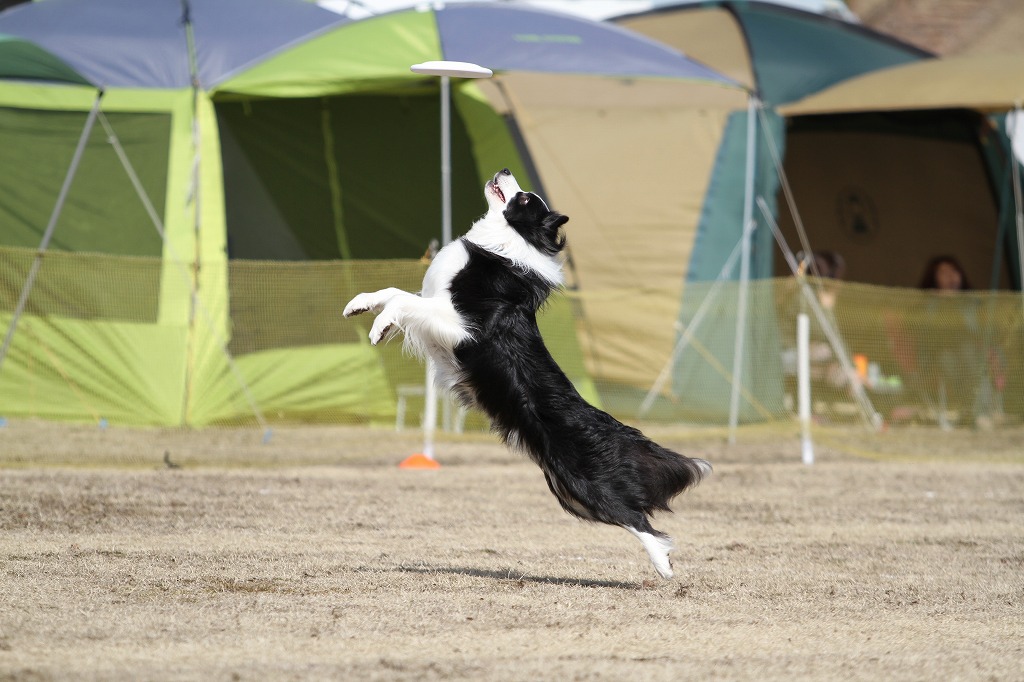 ろまんちっく村大会_a0090292_22175970.jpg