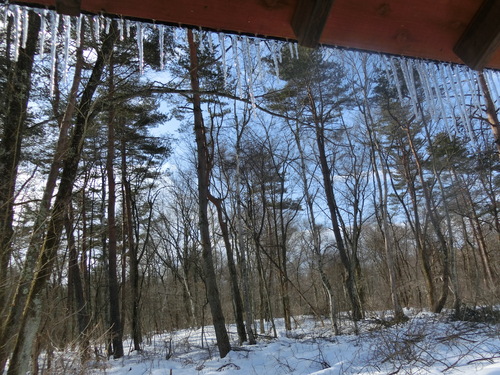 a0319693_829063.jpg