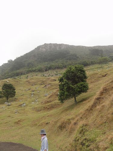 e0207997_1761455.jpg