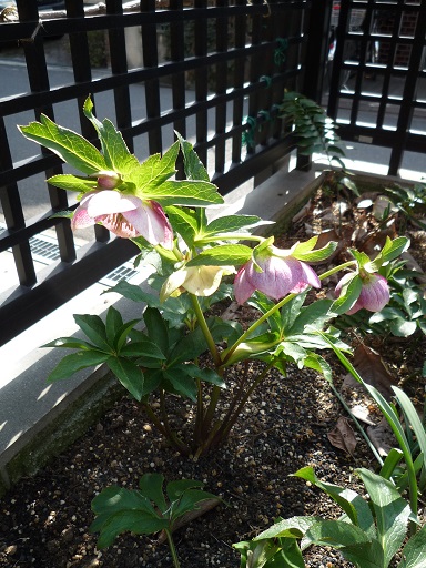 e0234004_182892.jpg