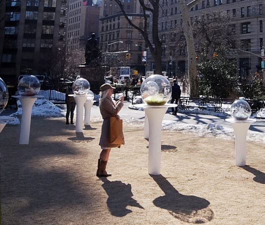 NYの公園にガラスの球体パブリック・アート作品 Gazing Globes_b0007805_1235446.jpg
