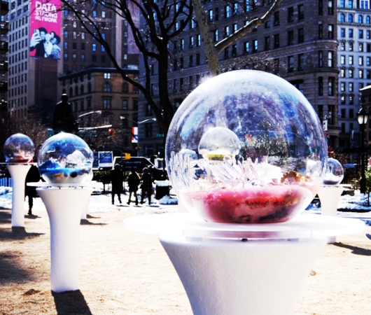 NYの公園にガラスの球体パブリック・アート作品 Gazing Globes_b0007805_1245512.jpg