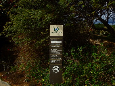b0062010_2352466.jpg