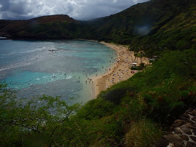 b0062010_235486.jpg