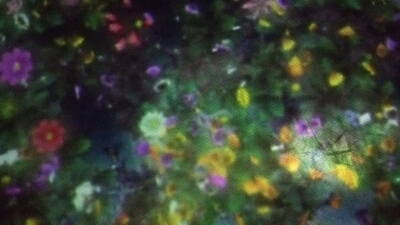 b0133713_2095596.jpg