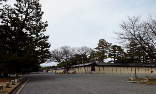 梅が始まった 京都御苑_e0048413_21271530.jpg