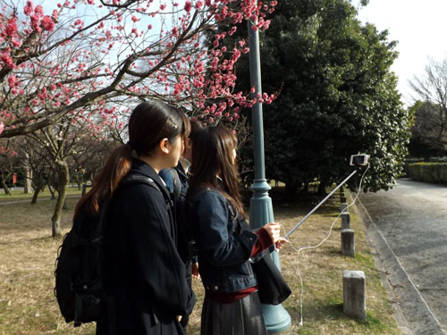 梅が始まった 京都御苑_e0048413_21283848.jpg