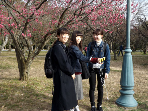 梅が始まった 京都御苑_e0048413_2128469.jpg