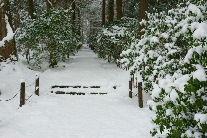 雪の常照皇寺　前_e0177413_2082064.jpg