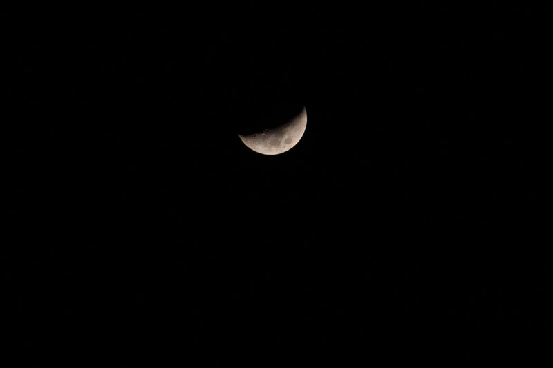 a0278914_19572038.jpg