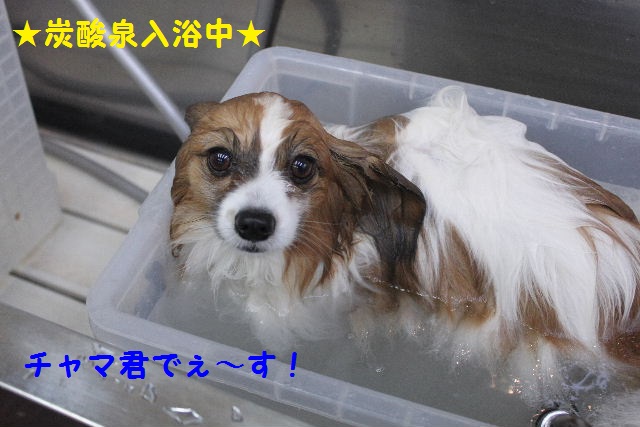 駐車場が変わります！！_b0130018_9465792.jpg
