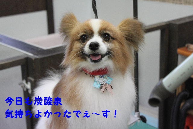 駐車場が変わります！！_b0130018_9474789.jpg