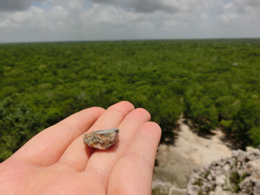 Coba　コバ遺跡_b0129832_18354067.jpg