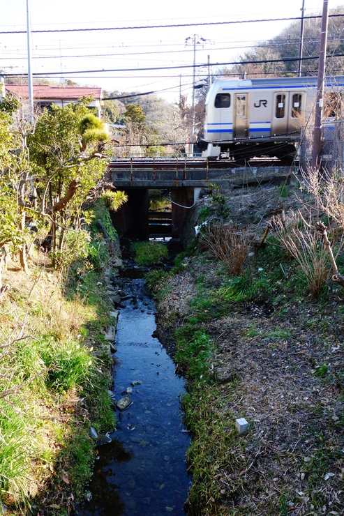 鎌倉2015 その2～北鎌倉駅方面へ_a0287336_045426.jpg