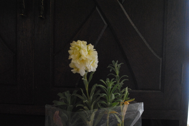 バニラアイス色の花_d0101846_07110989.jpg
