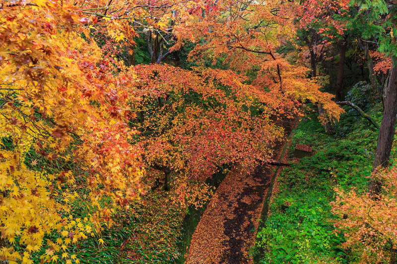 龍吟庵・晩秋（東福寺塔頭）_f0155048_2105153.jpg