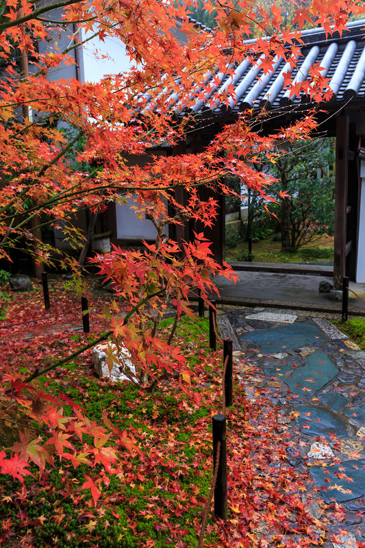 龍吟庵・晩秋（東福寺塔頭）_f0155048_2111822.jpg